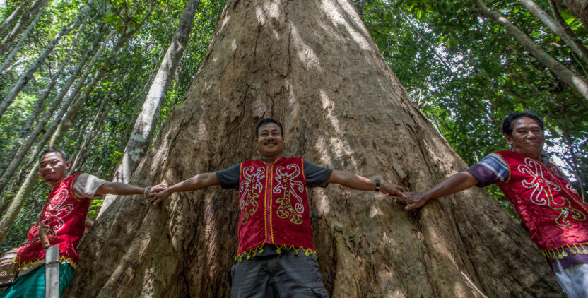 Indigenous Dayak people dressed in red hold hands to encircle the trunk of a giant tree. Facing outwards, they smile down into the camera.