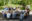 Overhead view of Greenpeace staff sitting at a picnic table in a lush garden, with plates of healthy food