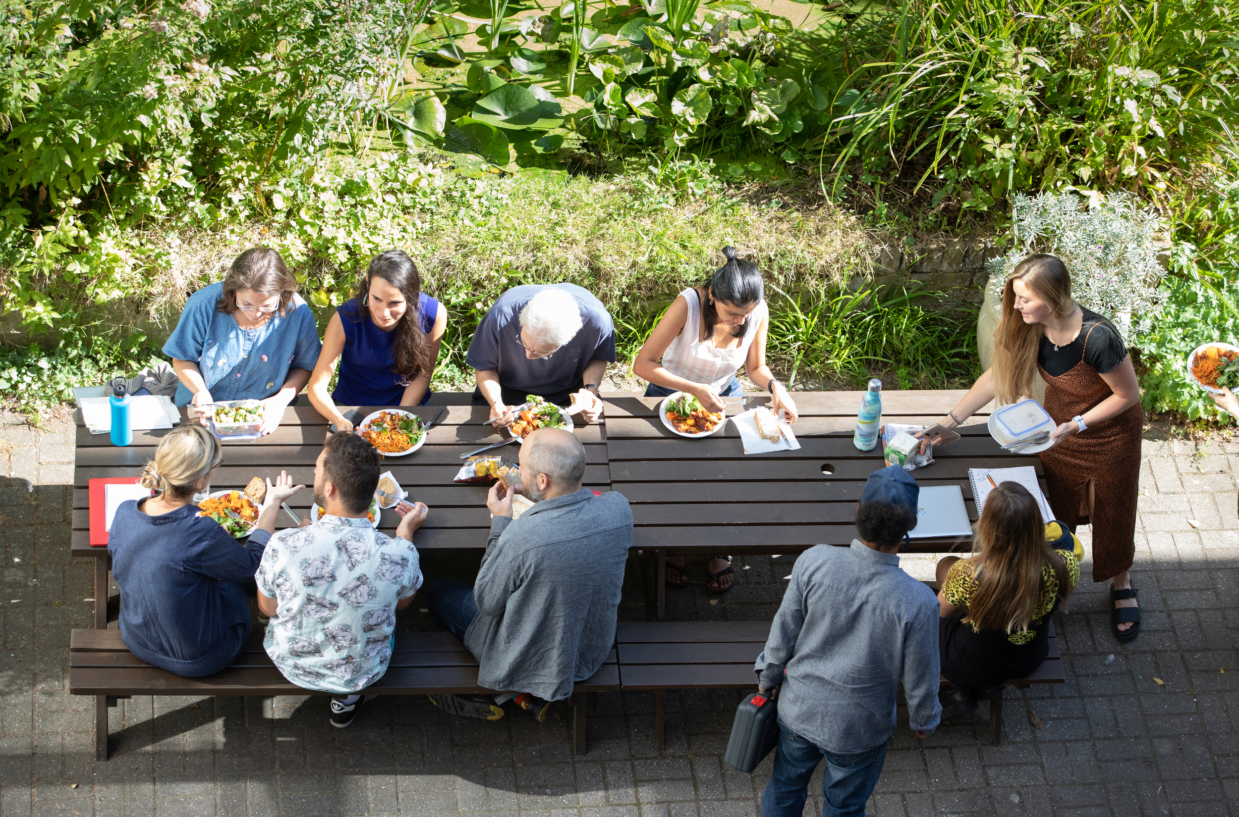 Overhead view of Greenpeace staff sitting at a picnic table in a lush garden, with plates of healthy food