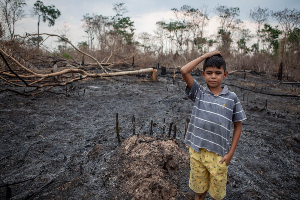 A child stands in a burned forest landscape, looking seriously into the camera and holding his hand on the top of his head.