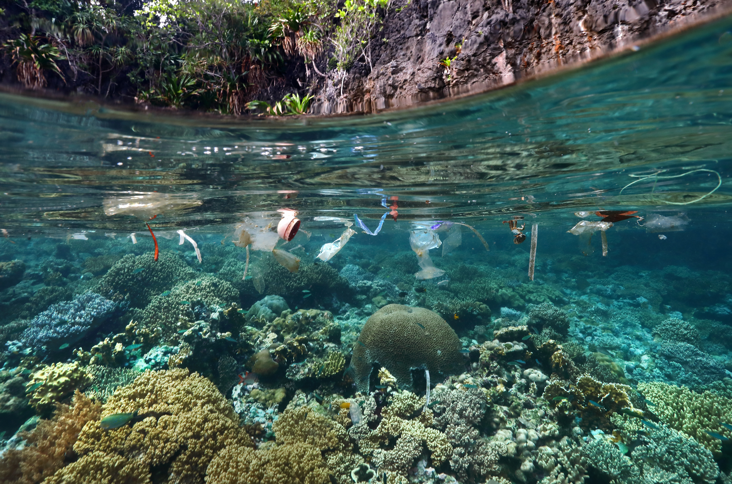 Semi-submerged view of plastic rubbish floating on the surface of a shallow ocean with beautiful corals on the bottom.