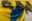 A climber unfurls an enormous yellow banner on a concrete surface
