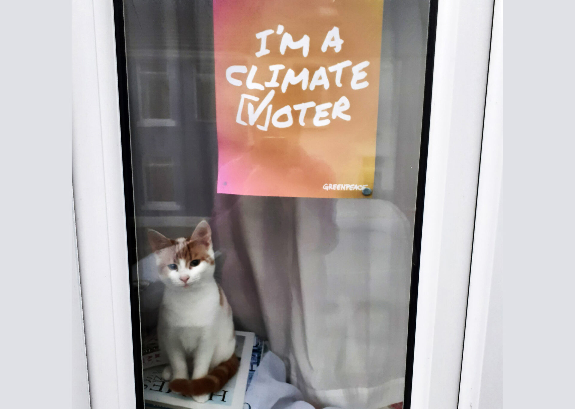A cute kitten sitting in a window with a poster that says I'm a climate voter.