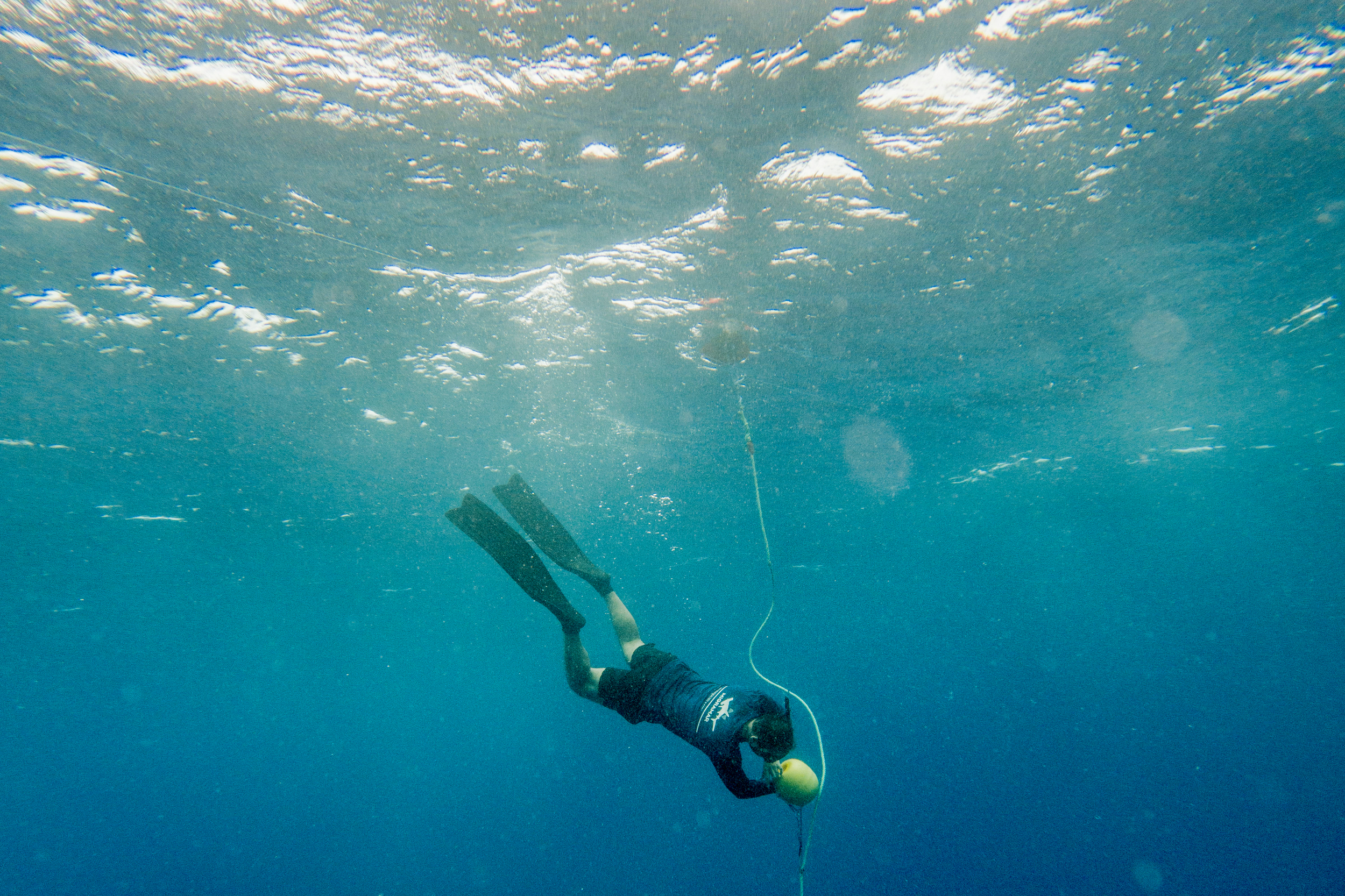 A diver inspects a buoy just below the surface of a sunlit ocean