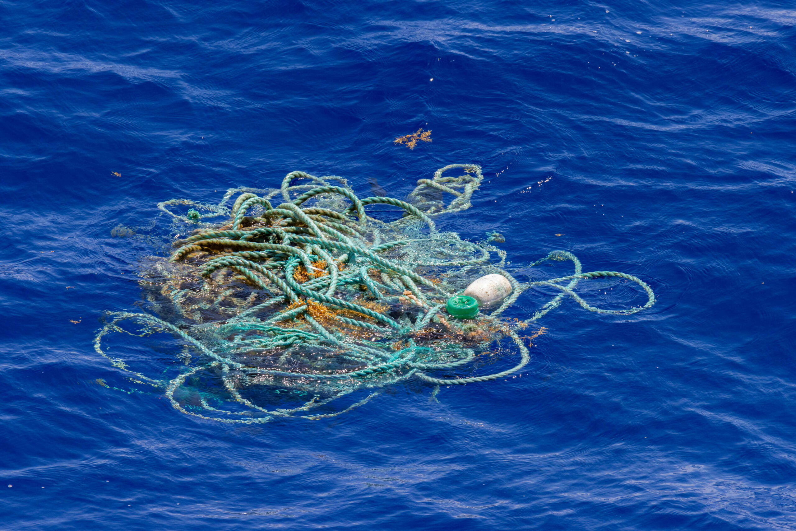 A messy patch of old plastic rope with all sorts of thing tangled in it