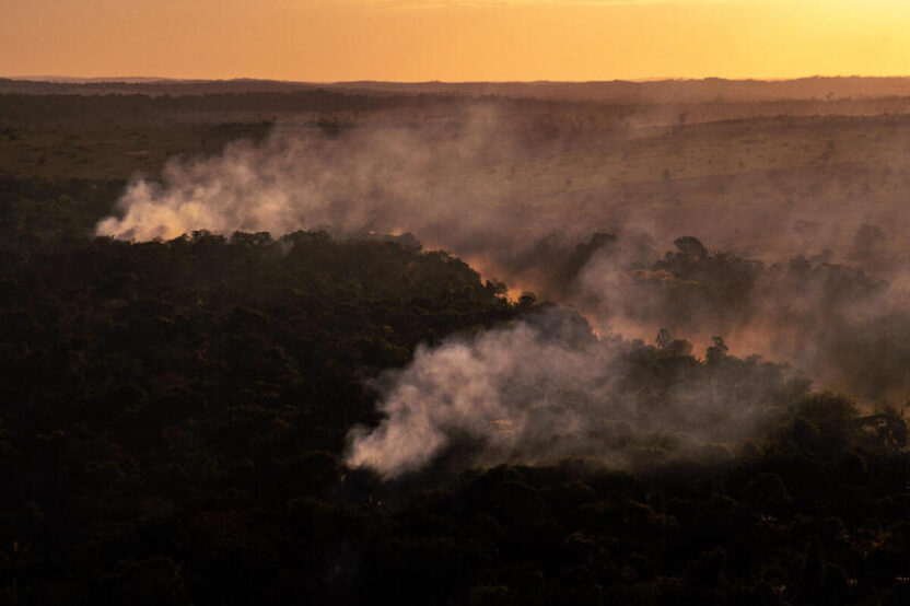 Shocking images show illegal fires raging in the Amazon