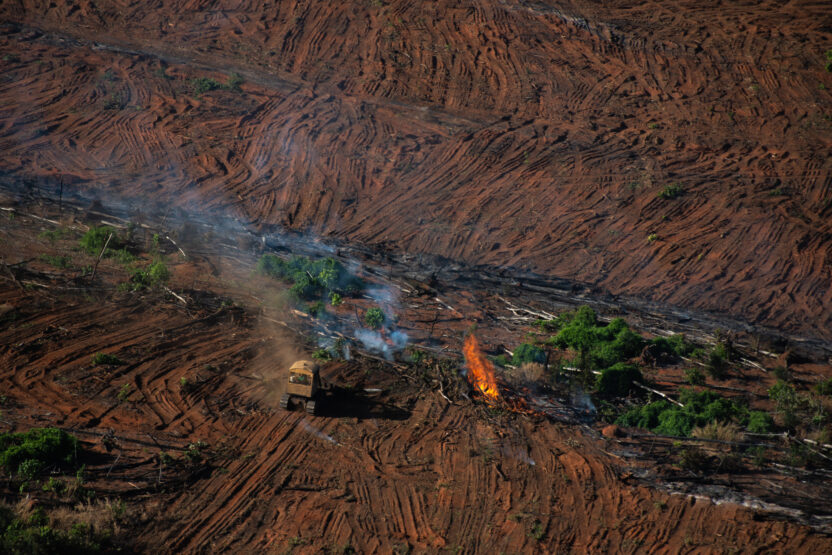 Amazon deforestation breaks new monthly record