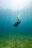 A lone diver hangs upside down in a shallow sunlit ocean, just above a lush seagrass meadow.