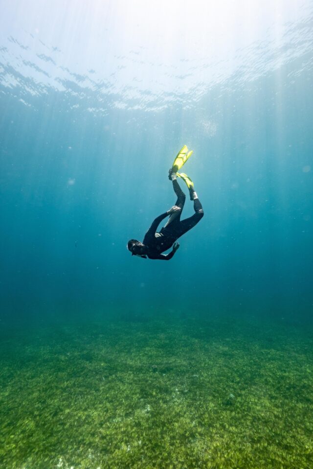 A lone diver hangs upside down in a shallow sunlit ocean, just above a lush seagrass meadow.