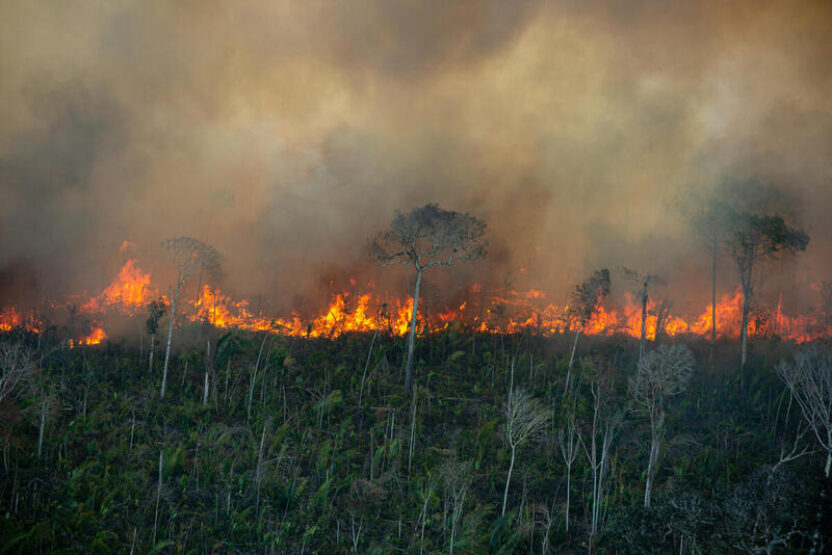 Images show large-scale illegal fires in the Amazon rainforest 