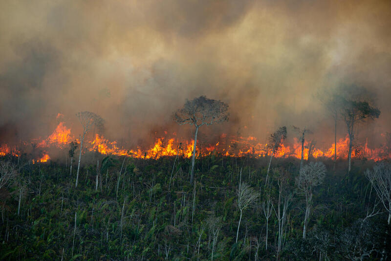 Images show large-scale illegal fires in the Amazon rainforest 