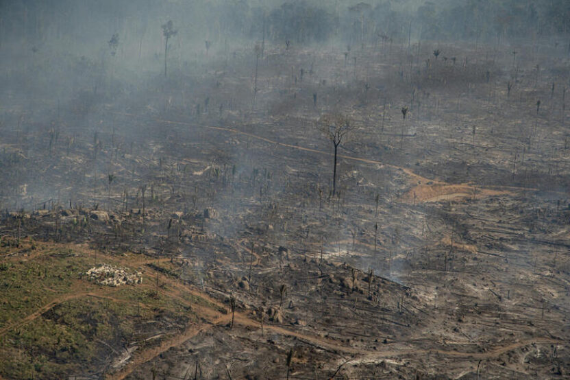 Official data confirms Amazon deforestation still soaring and new footage captures the horror