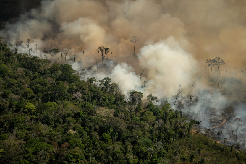 Amazon deforestation for October over four times size of Glasgow