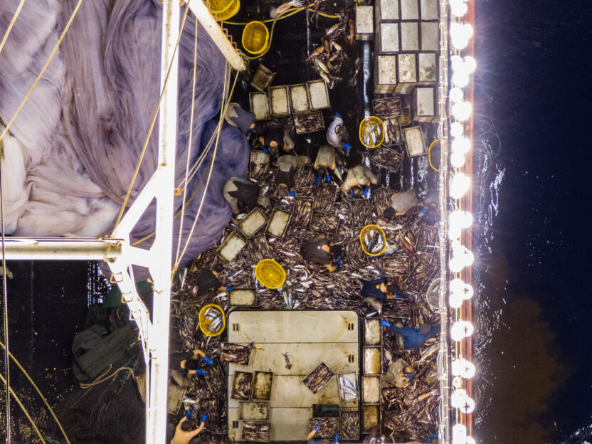 Aerial photo of a squid boat with lights along the edge. The deck is covered with squid and people are working on the boat.