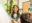 In a bright room with climbing plants in the background, a Greenpeace speaker gives an animated smile as she interacts with her audience during a talk.