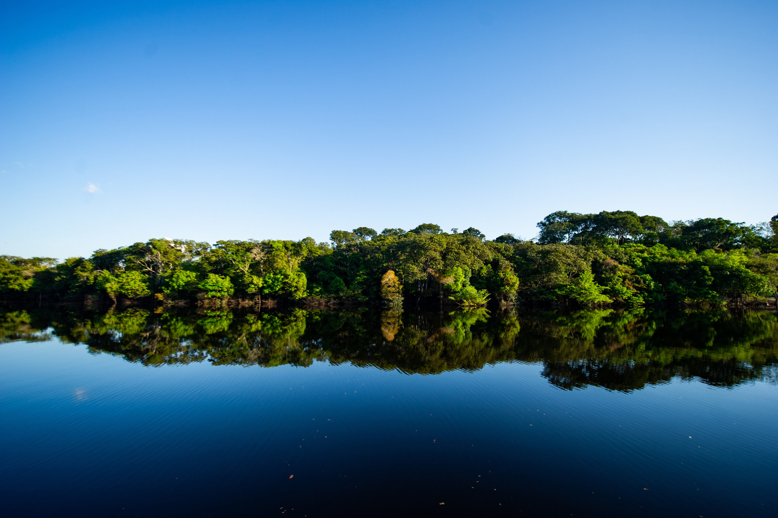Lush forest reflects on a calm river, with a blue sky above.