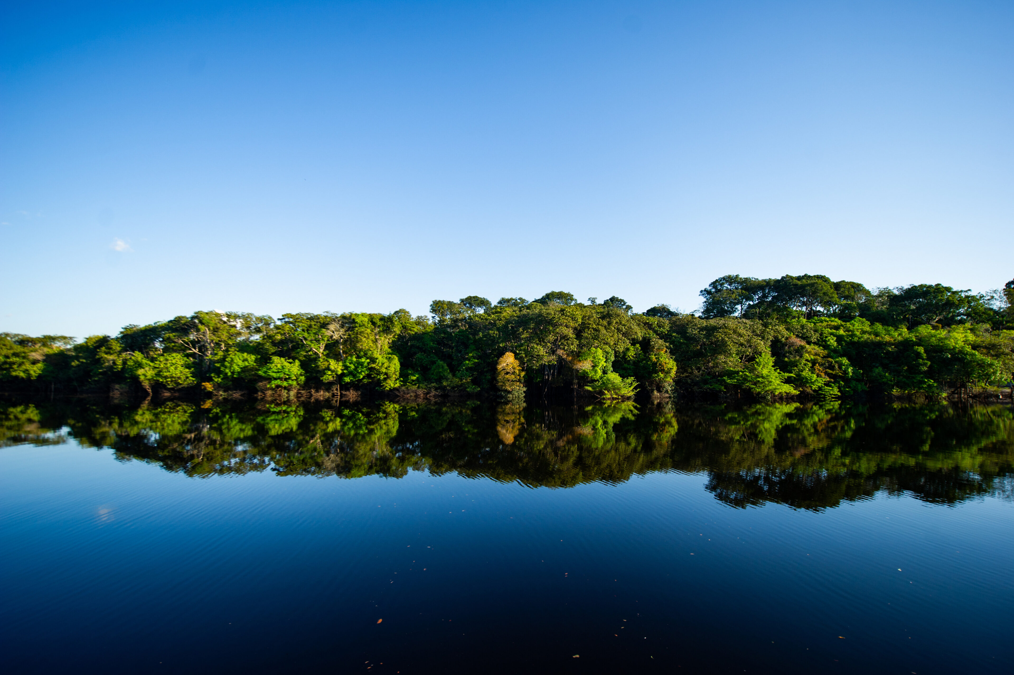 Lush forest reflects on a calm river, with a blue sky above.
