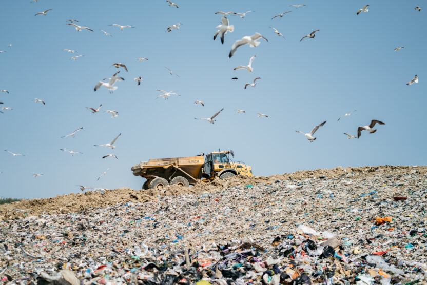 A large truck drives along the top of a giant pile of waste in a landfill site. Seagulls circle overhead.