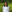 Areeba Hamid