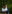 Areeba and Will sitting together on a bench outside, with dense foliage in the background