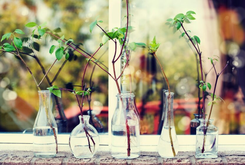 30+ ways to green your home