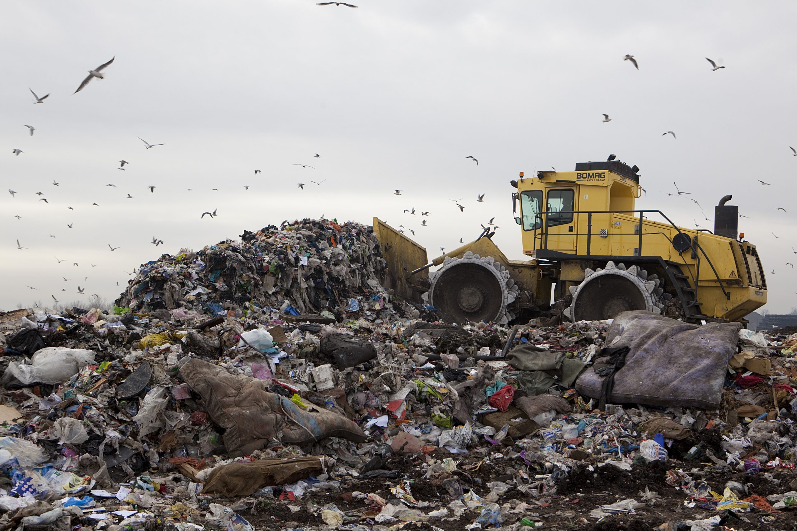 Why Amazon is throwing away millions of unused products – and how we can stop them