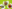 three vegan dishes on a green background