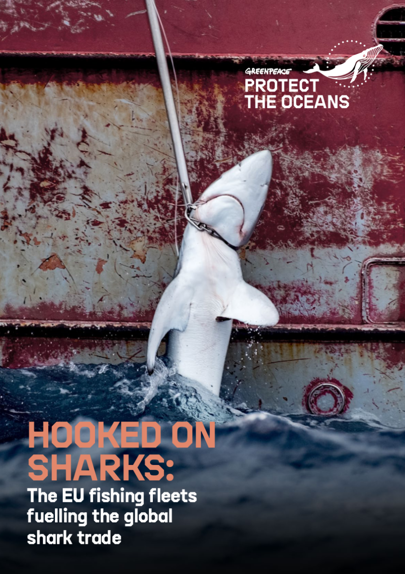 Cover of the hooked on sharks report showing a dead shark being pulled out of the ocean up the side of a ship.