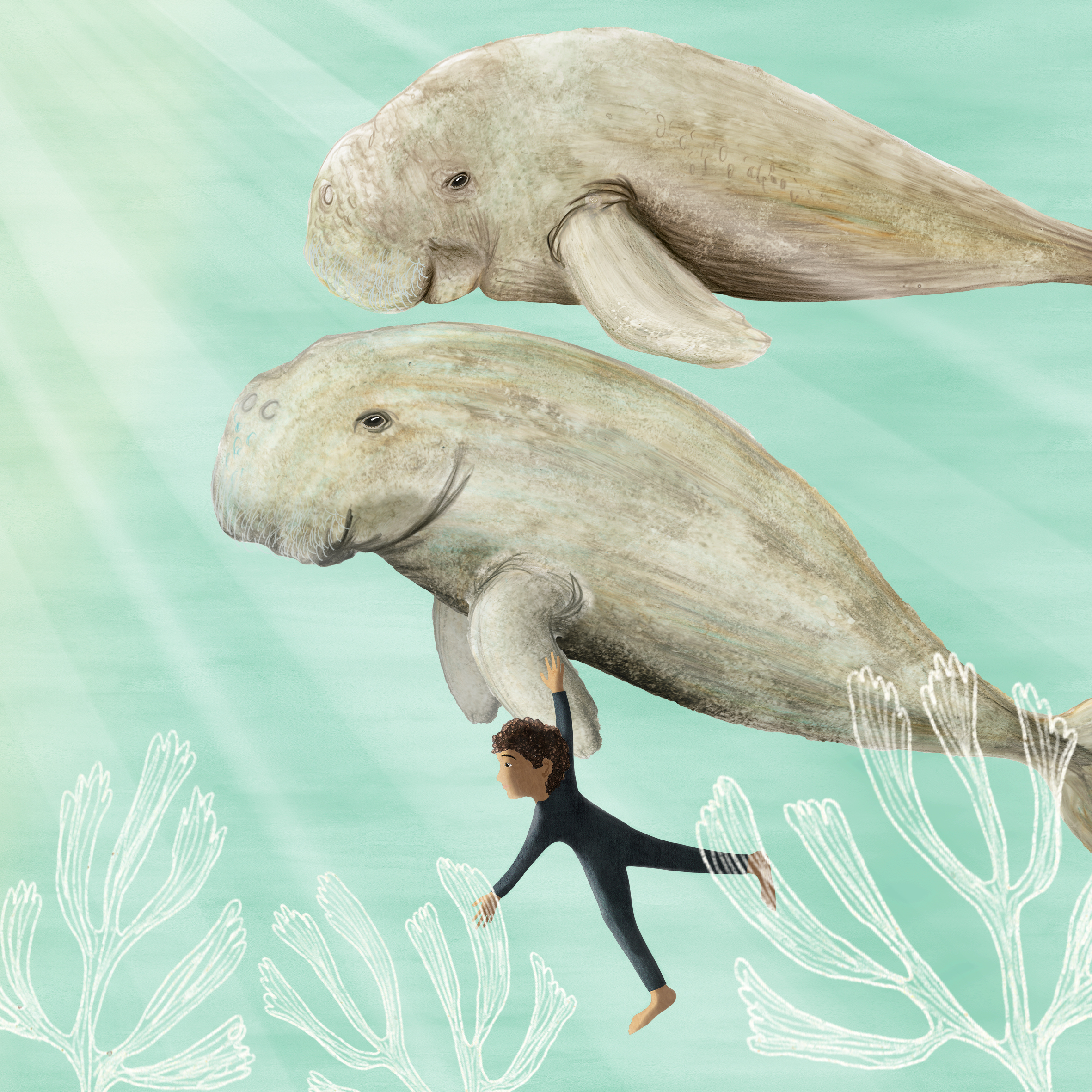 Two large grey dugongs, whale shaped with pronounced foreheads and noses and large flippers, on a pale green background. One dugong's flipper is being held by a small boy in a wetsuit, about a quarter of the size of the dugong. There are sunhbeams pouring in to the picture from the top left and three springs of seakelp in white underneath.