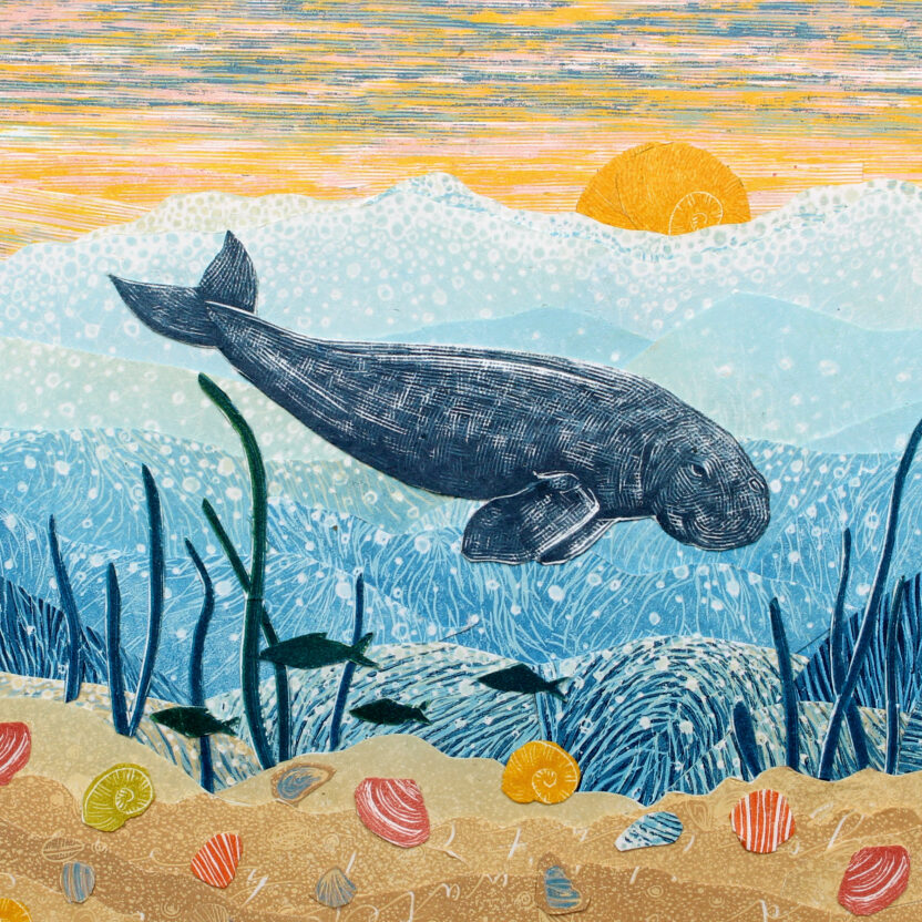 What is a dugong? Check out these beautiful drawings of this hard-to-spot ocean creature