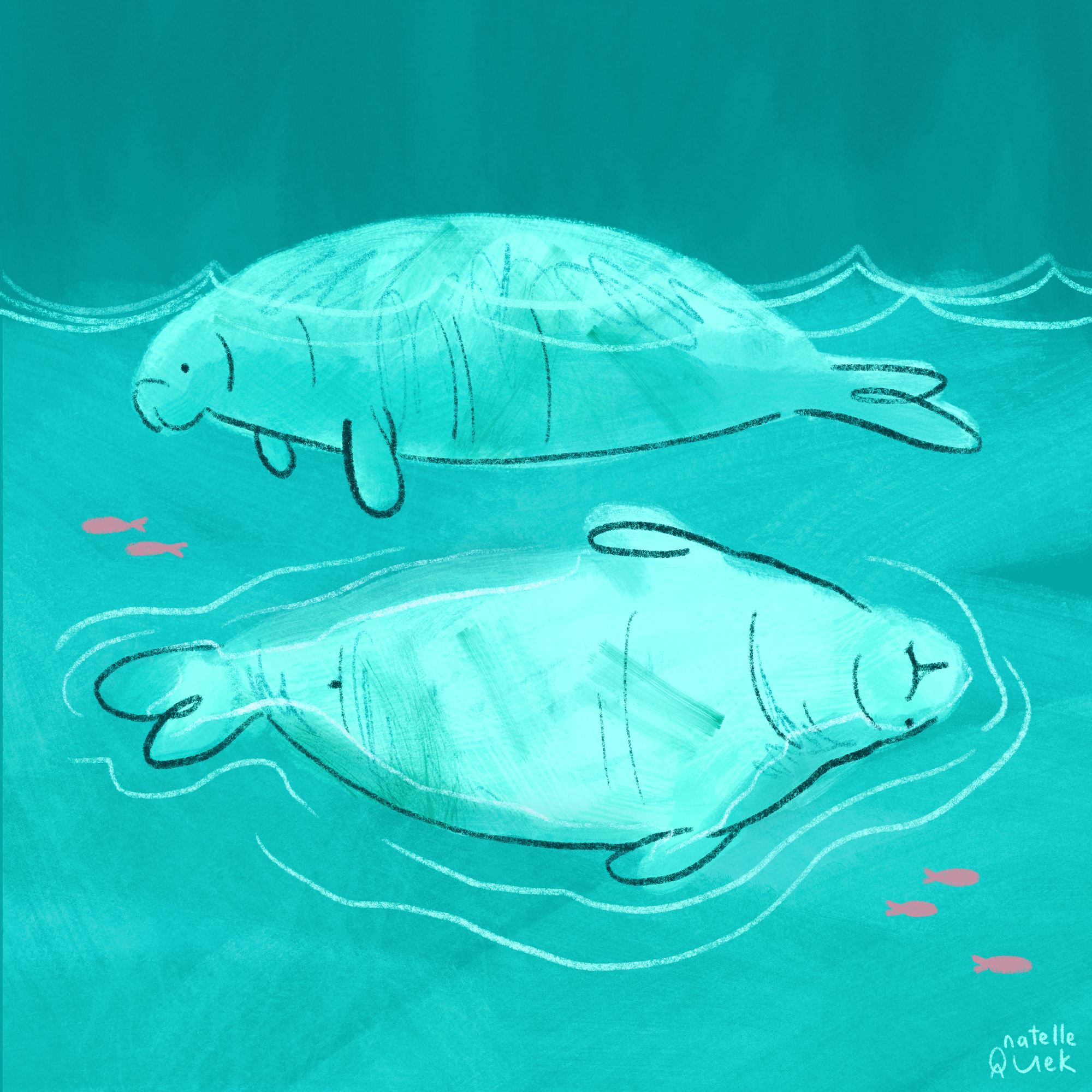 Rich turquoise background qith an even brighter outline of two dugongs, drawn around with crayons strokes. One is facing left, seen from the side; the second is below and facing belly up, their snouts, flippers and tails are little and round. There are five very small pink fish dotted aorund.