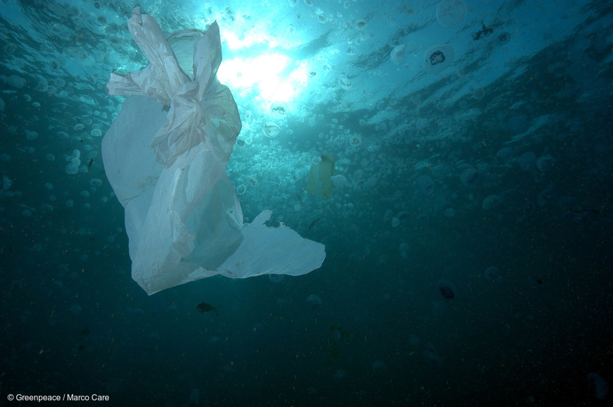 What does Michael Gove need to do to win the War on Plastic?