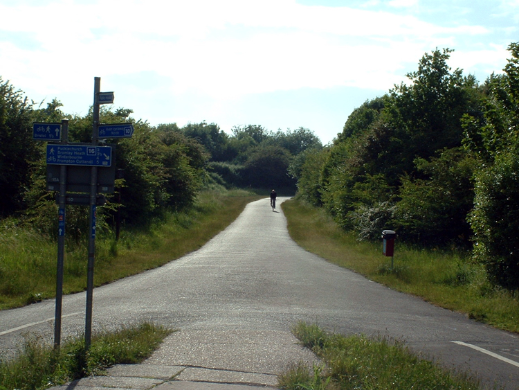 A fork in a flat cycle path with lane markings, surrounded by lush green trees, hedges and grass, with multiples blue cycleway signs on a signpost. There's a single cyclist at the end of a path in the background.