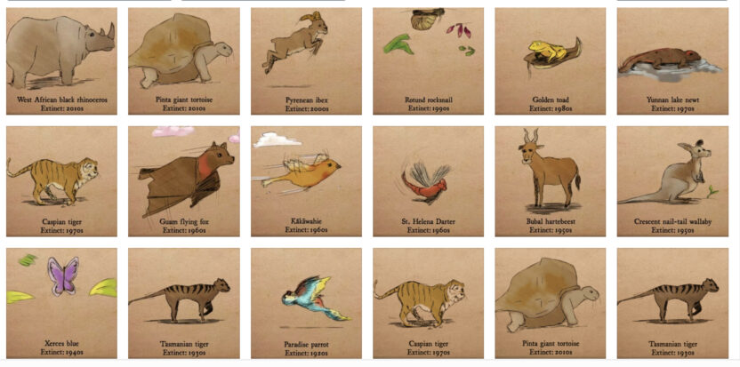 18 animals that became extinct in the last century