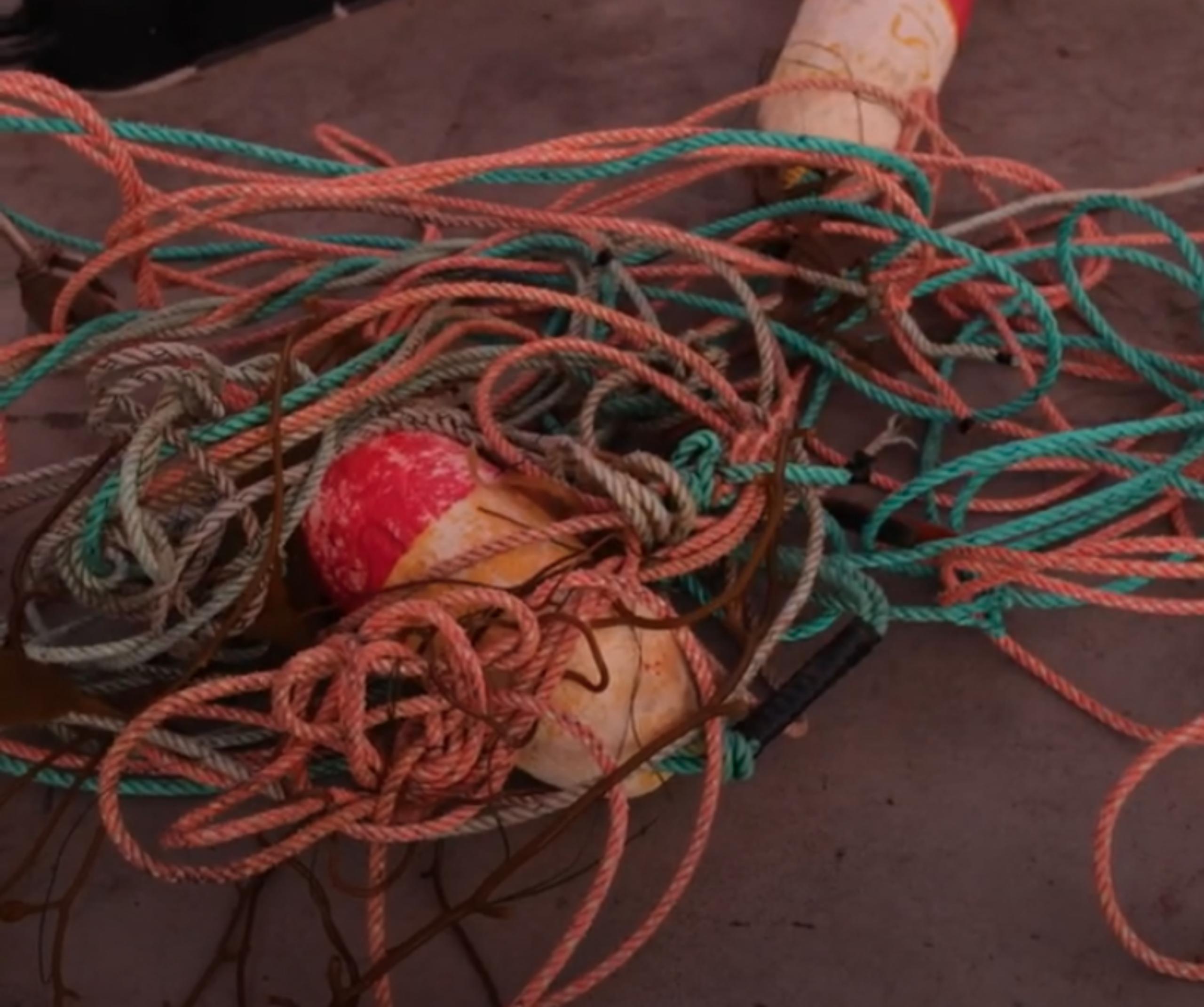 A tangle of ropes and buoys