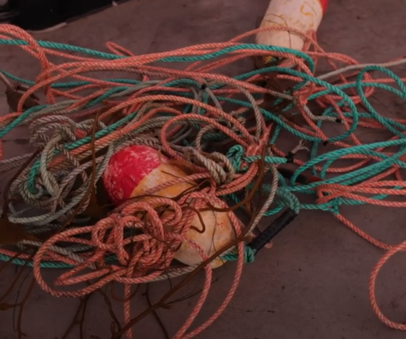 A tangle of ropes and buoys