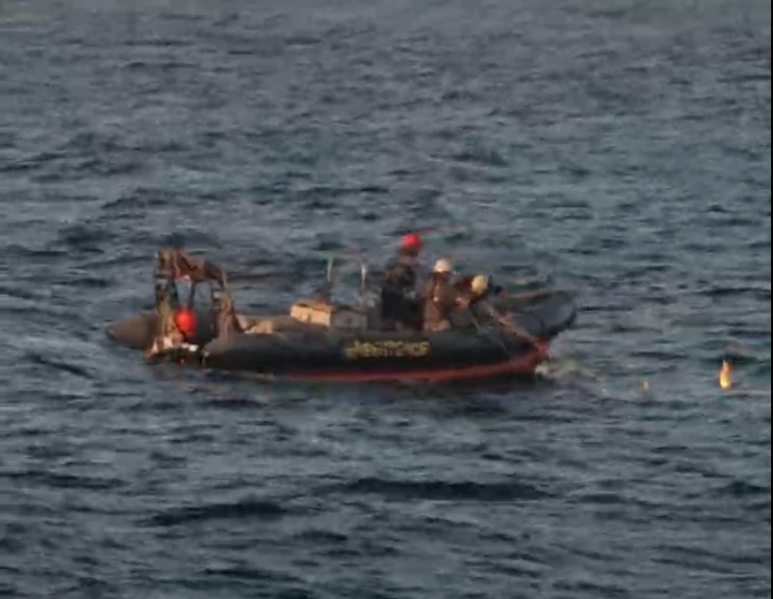 Greenpeace crew in a small boat untangling fishing gear from a whale