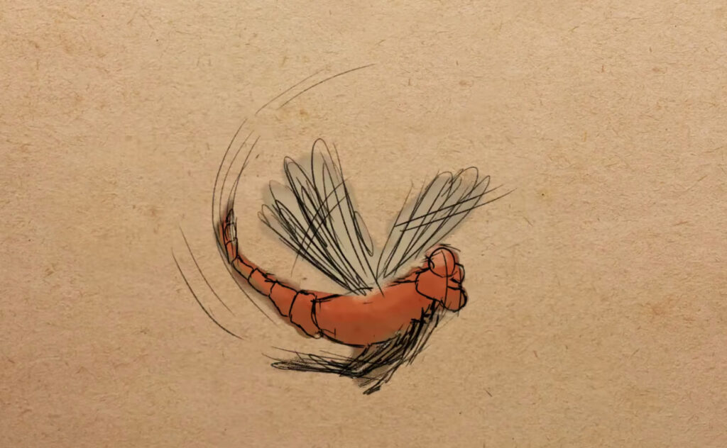 Illustration of an extinct St Helena darter. It's a red-brown dragonfly