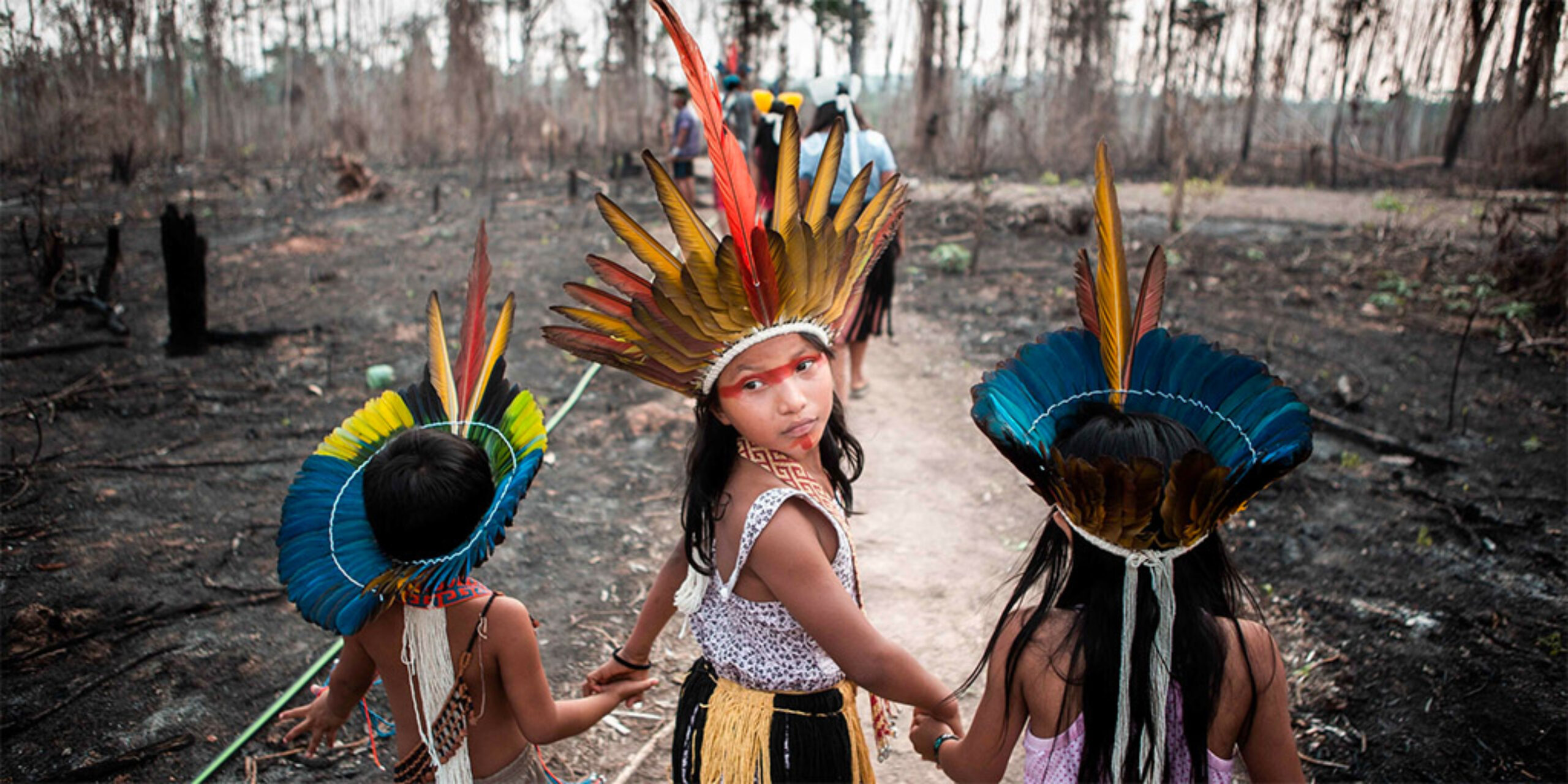 Three children in traditional Indigenous feathered headdresses walk hand in hand through a burned forest landscape. The middle child looks back towards the camera with a serious expression