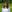 Formal portrait of Areeba smiling into the camera, with foliage in the background.