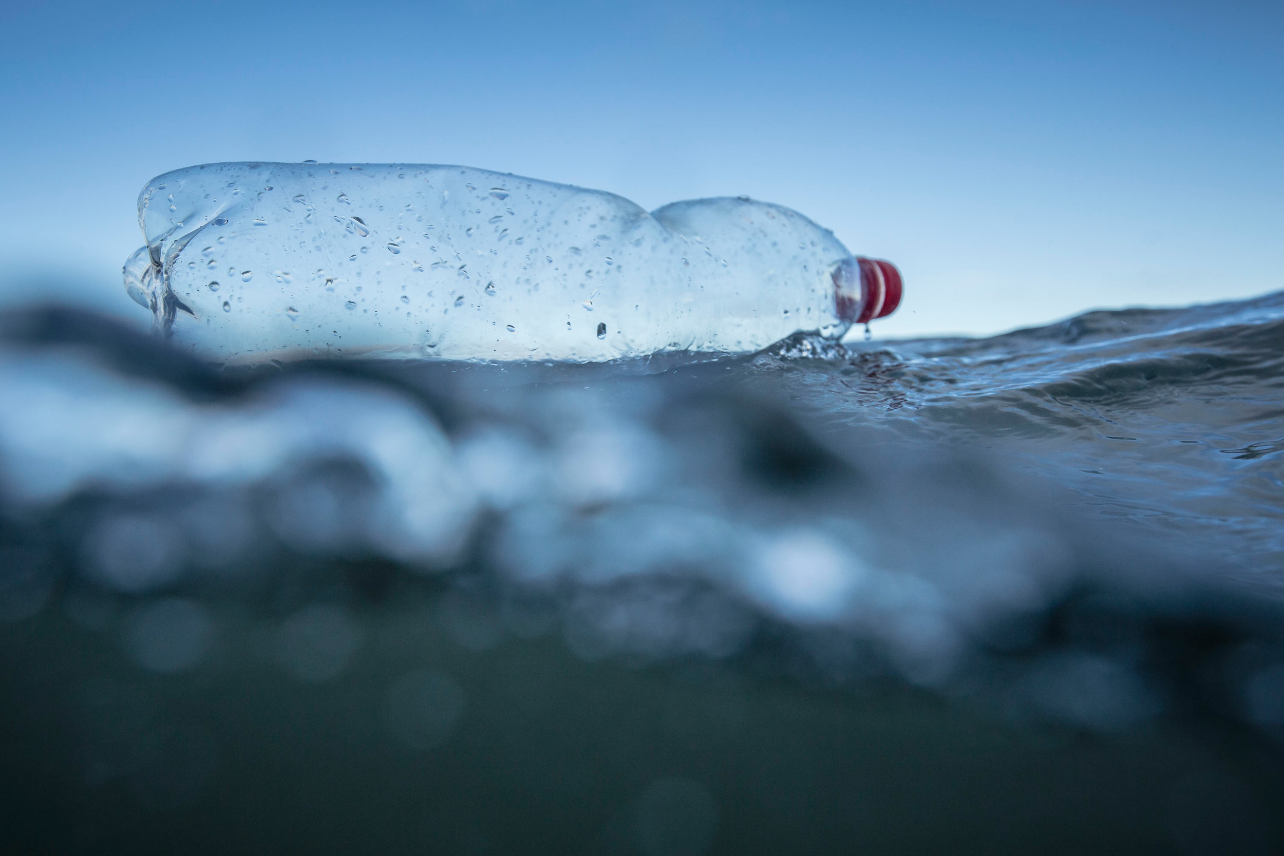 Plastic bottle floating in the North Sea