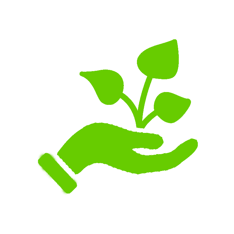 Icon of a hand holding a plant