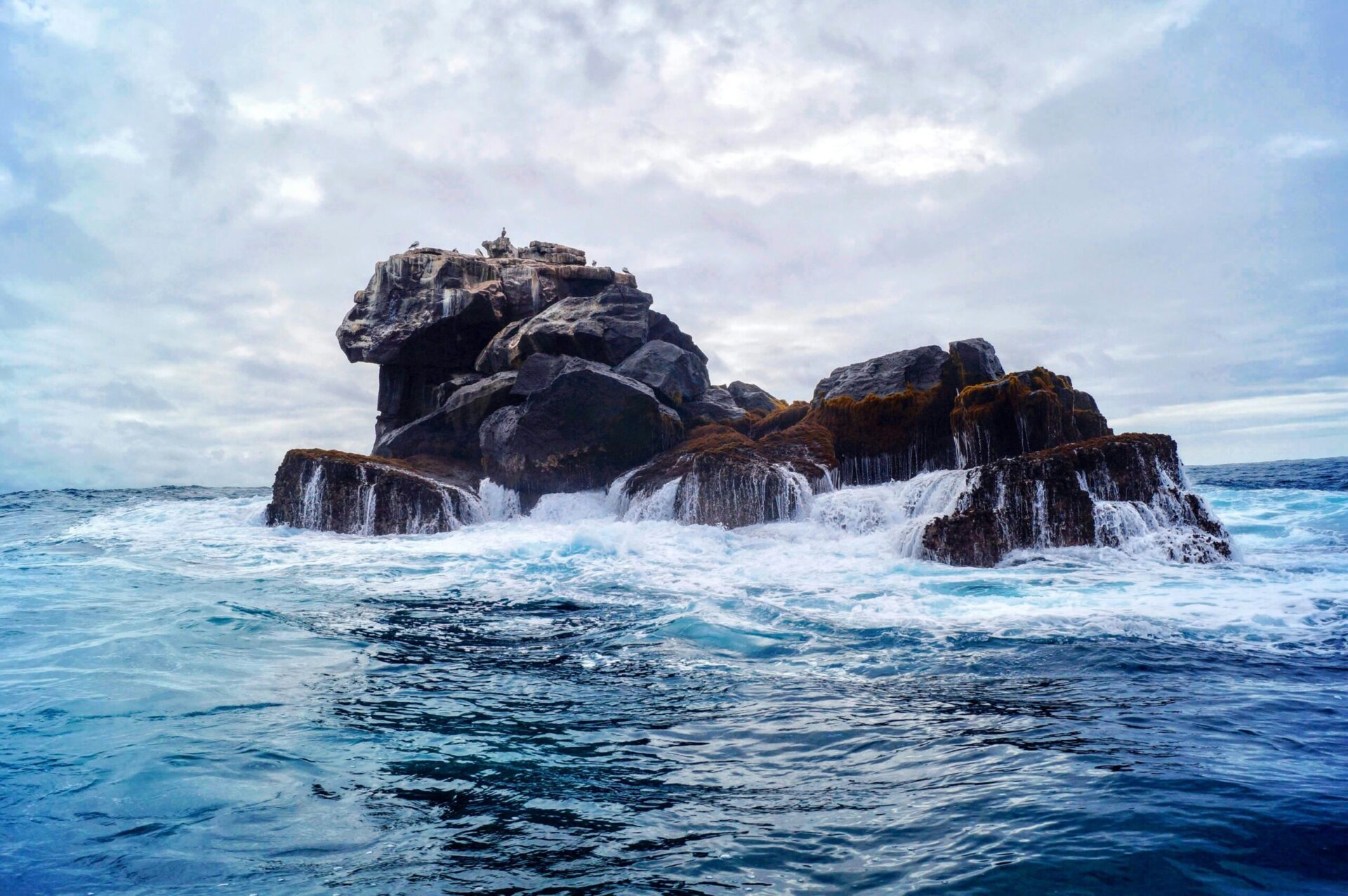 Waves drain off a seaweed-covered outcrop of rock sticking out of the sea in the Galapagos Islands