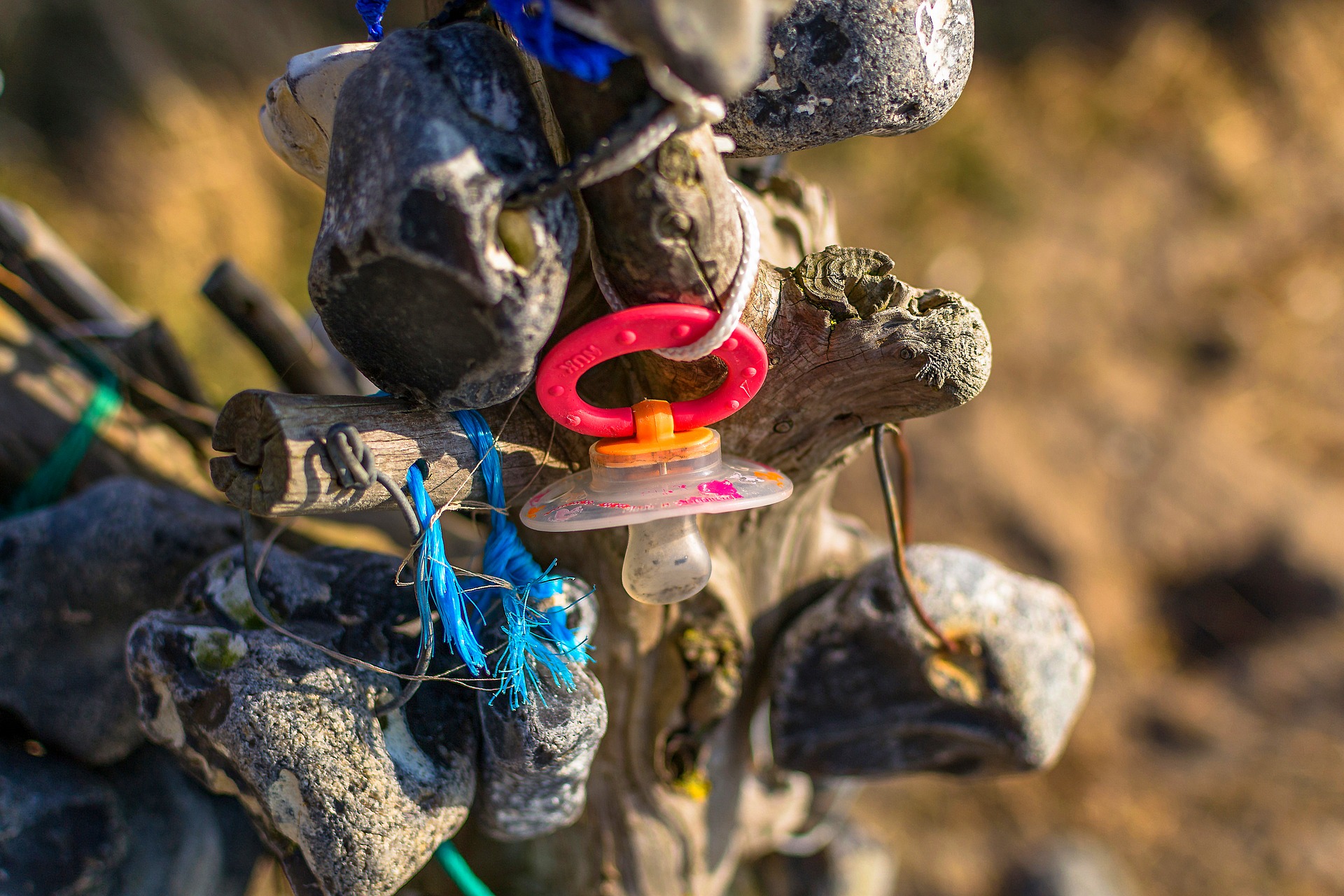 A weathered child's dummy hangs on a piece of driftwood along with other pieces of plastic waste