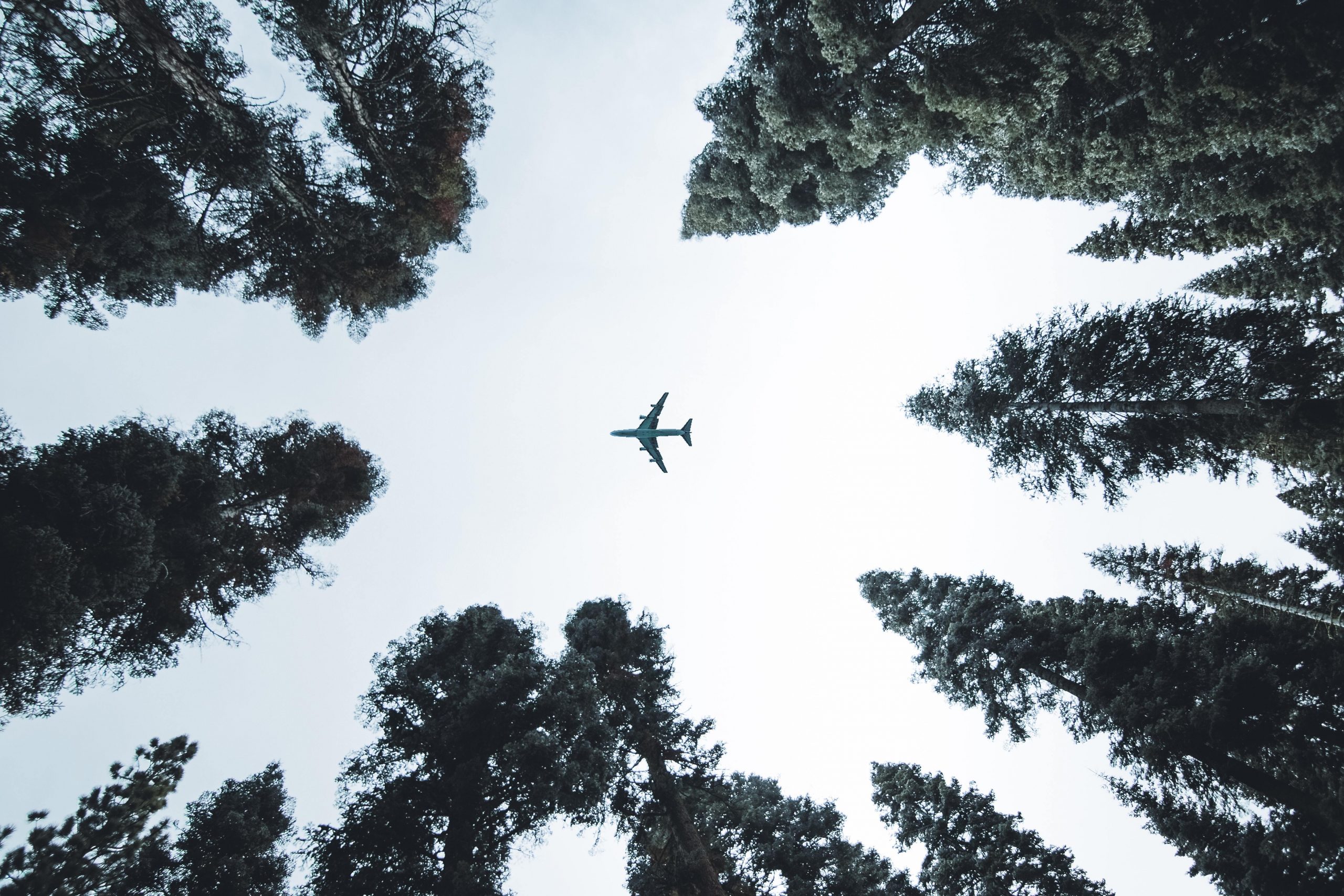 Airlines are selling carbon offsets as the solution to climate change. Here’s why they’re wrong