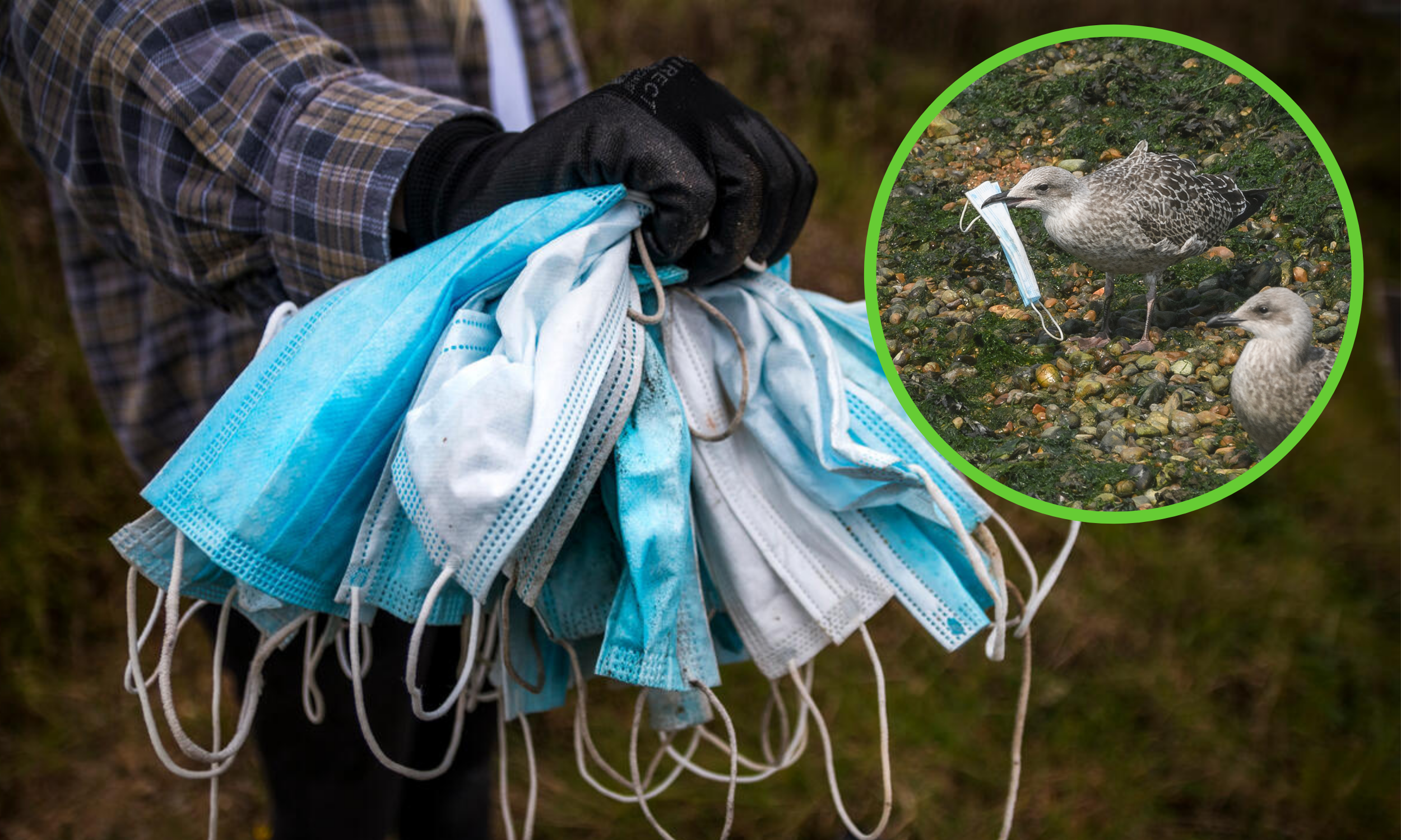 A gloved hand holding discarded single-use facemasks