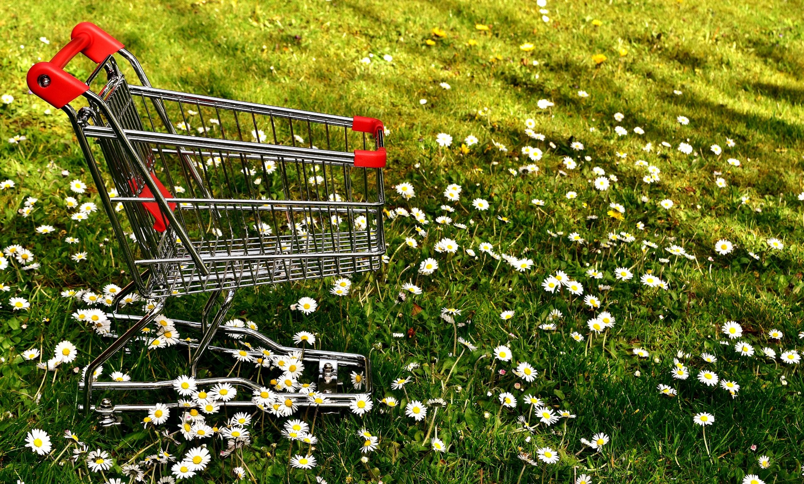 5 great deals for the planet on Black Friday