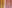 Pink housing insulation