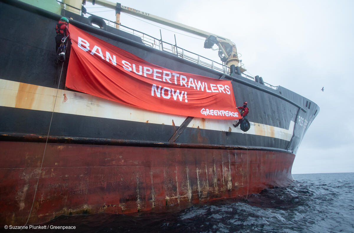 Greenpeace stops supertrawler fishing in UK marine protected area