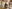 Photo montage shows people holding up their vegan dishes and smiling at the camera, with closeups of other vegan dishes above and below